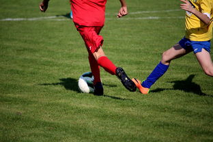 爱游戏入口-中国足球年度训练项目与技战术实战匹配，中国足球队战术